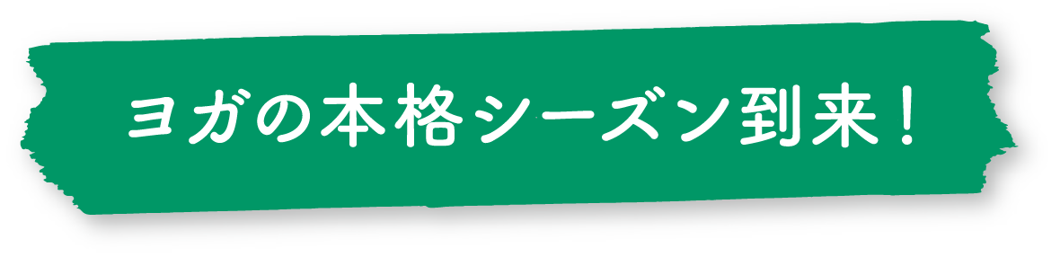 ヨガの本格シーズン到来!